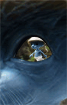 Image 23