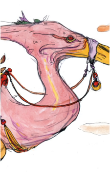 Chocobo (Species)