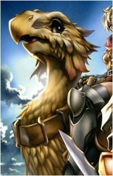Chocobo (Species)