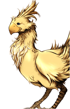 Chocobo (Species)