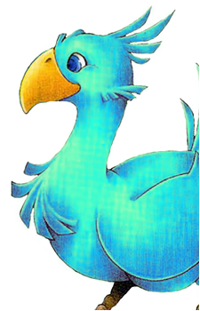 Chocobo (Species)