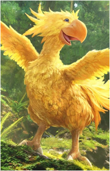 Chocobo (Species)