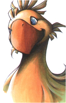 Chocobo (Species)