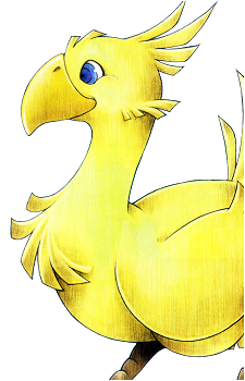 Chocobo (Species)