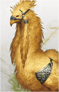 Chocobo (Species)