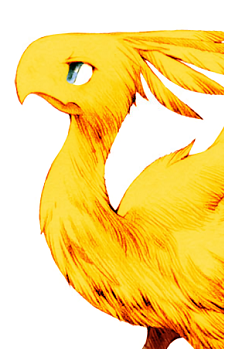 Chocobo (Species)