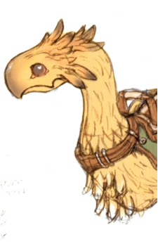 Chocobo (Species)