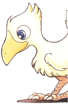 Chocobo (Species)'s image