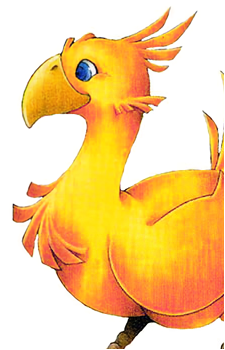 Chocobo (Species)