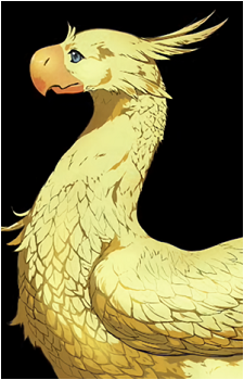 Chocobo (Species)