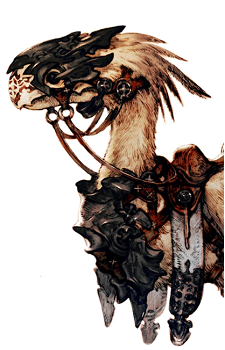 Chocobo (Species)