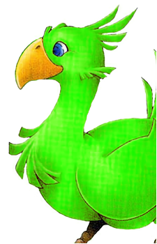 Chocobo (Species)