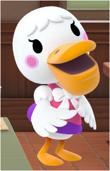 Pelly