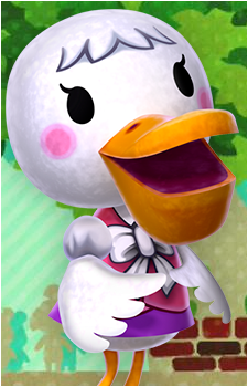 Pelly's image