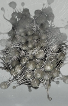 Yog-Sothoth from Lovecraft Mythos