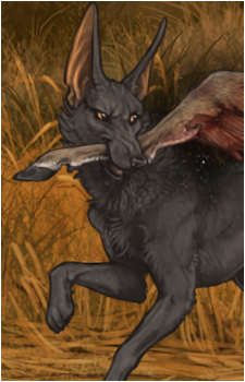Lord Anubis