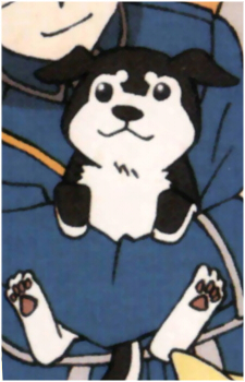 Image 3
