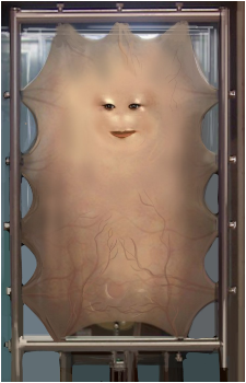 Lady Cassandra O'Brien's image