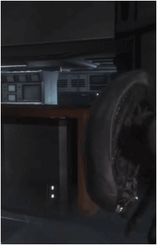 Xenomorph