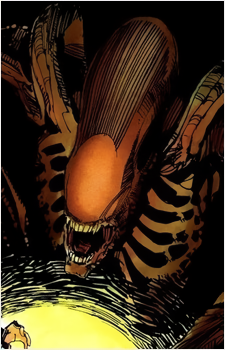 Xenomorph