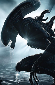 Xenomorph