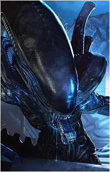 Xenomorph
