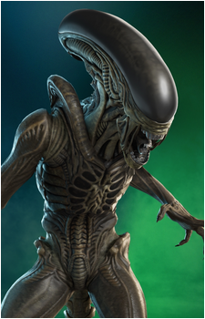 Xenomorph