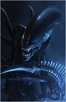 Xenomorph