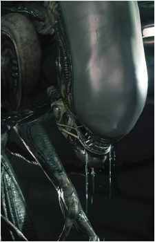 Xenomorph