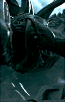 Xenomorph
