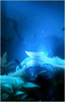 Image 7 Image 7