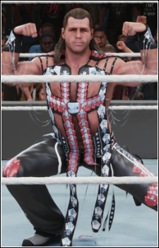 Shawn Michaels