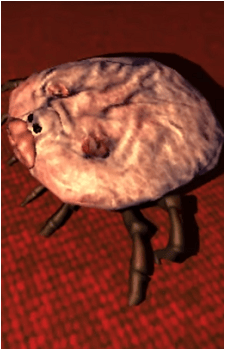 Tick {REPO}'s image