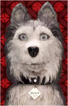 Duke's image