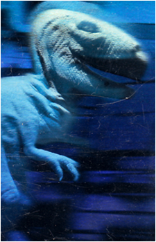 Yoshi {1993}