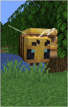 Bee's image