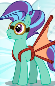 Wind Sock's image