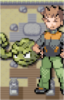 Brock's Geodude