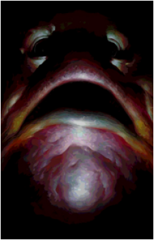 Pipsqueak's image