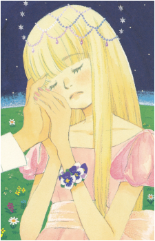 Image 21
