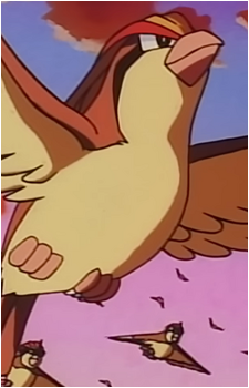 Ash's Pidgeot's image