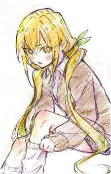 Image 30