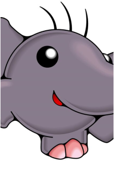 Phan Phan's image
