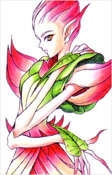 Spar's image