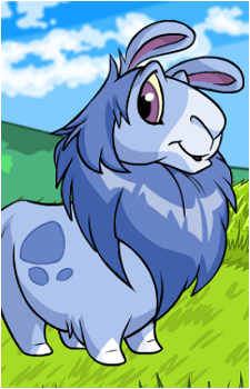Gnorbu's image