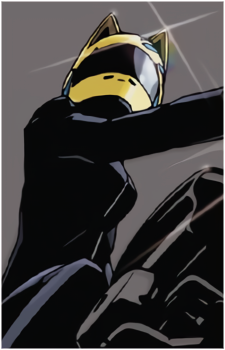 Image 6 of Celty Sturluson