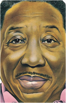 Muddy Waters's image