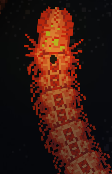 Suomuhauki's image