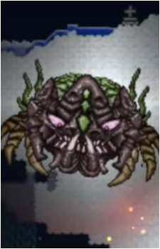 Ocram's image