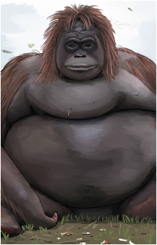 Le Monke